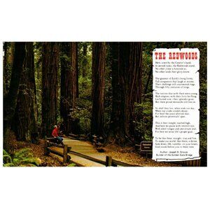 Vintage Postcard Muir Woods National Monument The Red Woods Poem 1991 California